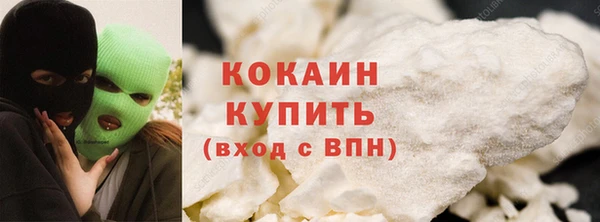 крисы Дмитров