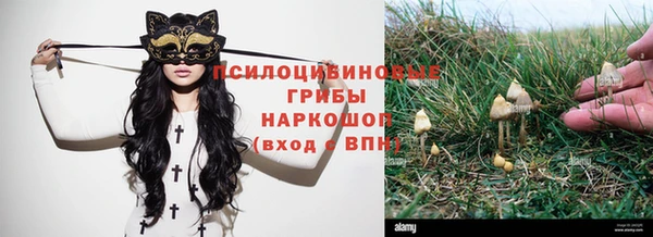 крисы Дмитров