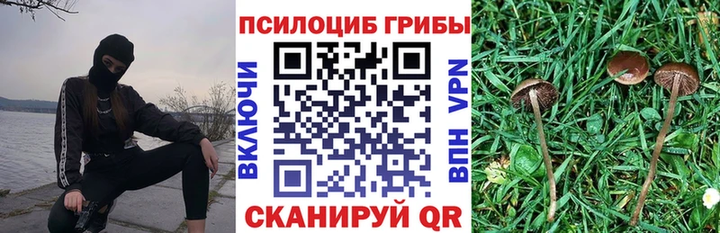 Галлюциногенные грибы мицелий  закладки  Йошкар-Ола 